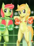  boxing boxing_gloves couple equine female fighter fighting_ring horse looking_at_viewer mammal my_little_pony pigtails pony ring smile tail 