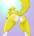  chavez digimon renamon tagme 