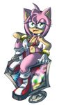  amy_rose sonic_team tagme the_brave 