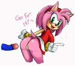  amy_rose anus blush breasts butt disembodied_penis english_text erect_nipples erection female green_eyes hair hedgehog looking_back male mammal nipples open_mouth penis pink_hair pussy pussy_juice sega side_boob smile sonic_(series) sonic_team sonic_the_hedgehog sssonic2 text wet 
