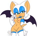  greymelon rouge_the_bat sonic_team tagme 