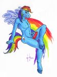  friendship_is_magic hufnaar my_little_pony rainbow_dash rule_63 