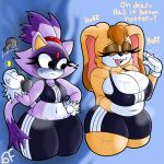 age_difference anthro big_breasts blaze_the_cat bodily_fluids bomba_world12 breasts chubby_female cooling_off cross-popping_vein duo felid feline female fur hi_res jealous lagomorph leporid mammal mature_female meme mob older_female purple_body purple_fur rabbit sega short_pants slightly_chubby small_breasts sonic_the_hedgehog_(series) sports_bra_difference_meme sweat sweaty_breasts sweaty_legs thick_thighs vanilla_the_rabbit wide_hips workout_clothing workout_equipment younger_female