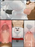 anal anal_penetration anthro ape balls bear bent_over bent_over_bench bin_(artist) bodily_fluids chubby_male doggystyle domination/submission dripping duo from_behind_position genital_fluids genitals giant_panda hand_on_leg hand_on_own_leg hand_on_own_thigh hand_on_thigh haplorhine leg_grab locker_room locker_room_sex male male/male mammal musclegut muscular muscular_male nipples pecs penetration polar_bear precum precum_drip precum_in_ass primate sex slightly_chubby smile submissive submissive_male sweat thigh_grab ursine