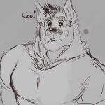 anthro black_nose canid canine canis ear_piercing fur hi_res insanysage male mammal muscular muscular_anthro muscular_male pecs piercing sany_(insanysage) solo wolf