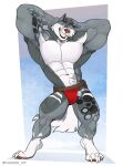 abs absurd_res anthro artist_name big_biceps big_triceps blue_eyes border bottomwear bulge claws clothing daymoon_100 fangs fur grey_body grey_fur grey_tail hands_behind_head hi_res jockstrap leg_tattoo male multicolored_body muscular_arms muscular_calves muscular_legs muscular_thighs navel pecs red_clothing red_jockstrap red_nose red_underwear simple_background smile solo standing tail tattoo teeth towel tuft two_tone_body underwear white_body white_border white_claws white_fur white_tail