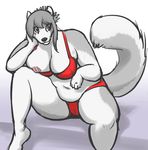  breasts canine chubby clothed clothing different_colored_eyes female fur grey_hair hair heterochromia mammal navel nipple_slip nipples ritts skimpy smile solo wardrobe_malfunction white white_fur 