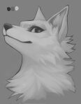 2024 ambiguous_gender canid canine digital_media_(artwork) falvie fluffy fur grey_background greyscale hi_res inner_ear_fluff mammal monochrome neck_tuft simple_background smile solo tuft