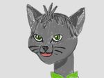  cat chartreux eyes feline green grey hair male tommy whiskers 