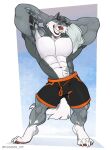 abs absurd_res anthro artist_name big_biceps big_triceps black_bottomwear black_clothing black_shorts blue_eyes border bottomwear claws clothing daymoon_100 fangs fur grey_body grey_fur grey_tail hands_behind_head hi_res male multicolored_body muscular_arms muscular_calves muscular_legs muscular_thighs navel orange_bottomwear orange_clothing orange_shorts pecs red_nose shorts simple_background smile solo standing tail teeth towel tuft two_tone_body white_body white_border white_claws white_fur white_tail