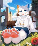 2023 4_toes anthro backpack barefoot blue_eyes blush boots bottomwear chest_tuft claws clothing cloud day digital_media_(artwork) domestic_cat feet felid feline felis flower foot_focus footwear fur grass hi_res hoodie kemono leaf looking_at_viewer male male_anthro mammal open_mouth outside pawpads paws plant plantigrade ruins shorts sitting sky soles solo tabinekoshiro tail teeth toe_claws toes tongue tongue_out topwear tuft vines whiskers white_body white_fur