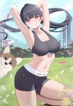  1girl absurdres armpits arms_behind_head arms_up bike_shorts black_hair black_shorts blue_sky blunt_bangs blush boku_no_kokoro_no_yabai_yatsu breasts brown_eyes building cleavage cloud commentary_request cowboy_shot dog highres large_breasts long_hair long_sleeves looking_at_viewer midriff navel outdoors parted_lips pharmarr ponytail presenting_armpit shorts sky sports_bra standing standing_on_one_leg yamada_anna 