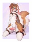 ankle_cuffs anthro blue_eyes blush bodily_fluids brown_body brown_ear_tuft brown_ears brown_fur brown_nose buckle canid canine chest_tuft collar cuff_(restraint) cum cum_drip cum_on_ground dripping dripping_penis ejaculation fluffy fluffy_tail fumiko fur fur_markings genital_fluids genitals hands_restrained harness hi_res hip_tuft inner_ear_fluff kneeling male mammal markings nipples open_mouth penis pink_body pink_fur pink_nipples pink_penis pink_tongue restraints simple_background slim solo star tail teeth thigh_strap tongue tuft two_tone_tail white_background white_body wide_hips