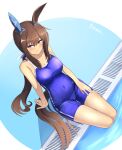  1girl a.nori absurdres admire_vega_(umamusume) animal_ears arm_support artist_name blue_one-piece_swimsuit blush breasts brown_hair cleavage commentary_request competition_school_swimsuit cowboy_shot ear_covers highres horse_ears horse_girl horse_tail large_breasts long_hair low_ponytail one-piece_swimsuit partially_submerged poolside purple_eyes school_swimsuit single_ear_cover sitting smile solo standing swimsuit tail tracen_swimsuit umamusume wet wet_clothes wet_swimsuit 