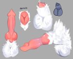 animal_genitalia anthro balls bodily_fluids canid canine digital_media_(artwork) female feral fur genital_fluids genitals hi_res male mammal naughty_derg penis solo