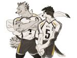  2boys akaashi_keiji animal_ears black_fur black_hair black_shorts body_fur bokuto_koutarou chengongzi123 claws commentary cowboy_shot crossed_arms dog_boy dog_ears dog_tail furrification furry furry_male grey_fur grey_hair grin haikyuu!! high_collar highres jacket jacket_on_shoulders looking_to_the_side male_focus multicolored_hair multiple_boys own_hands_together sharp_teeth shirt short_hair short_sleeves shorts simple_background smile sportswear standing streaked_hair symbol-only_commentary t-shirt tail teeth thick_eyebrows toned toned_male very_short_hair volleyball_uniform white_background white_jacket white_shirt wolf_boy wolf_ears wolf_tail yellow_eyes 