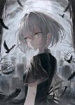  1girl :| absurdres bare_tree bird black_ribbon black_shirt closed_mouth cloud cloudy_sky collared_shirt crow expressionless falling_feathers feathers from_behind full_moon grave graveyard grey_eyes grey_hair hair_between_eyes hair_intakes highres kumagai_yuka looking_at_viewer medium_hair moon night original ribbon sample_watermark shirt sky solo tombstone tree upper_body watermark wide_sleeves 