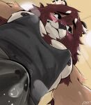 anthro areola ashe_(hornyyawnss) blush bodily_fluids clothed clothing erection erection_under_clothing felid fur genital_fluids hi_res hornyyawnss lion looking_away low-angle_view male mammal mane muscular muscular_anthro muscular_male nipples pantherine pec_pov_meme shy solo tan_body tan_fur