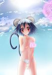  animal_ears blush breasts cameltoe clenched_hand dx_(dekusu) grey_hair highres mouse_ears mouse_tail nazrin panties red_eyes small_breasts solo tail topless touhou underwear underwear_only unzan white_panties 