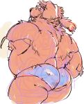 2024 anthro belly big_belly brown_body butt canid canine canis chisa_sa clothing domestic_dog eyewear glasses kemono male mammal moobs nipples overweight overweight_male solo underwear