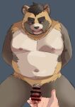 2024 anthro balls belly black_nose bodily_fluids brown_body canid canine censored duo erection genitals hi_res humanoid_hands kemono male mammal moobs navel nipples overweight overweight_male penis raccoon_dog solo_focus sweat tanuki yuzpoco