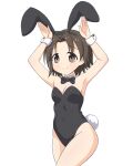  1girl absurdres animal_ears bare_legs black_bow black_bowtie black_leotard bow bowtie breasts brown_eyes brown_hair closed_mouth commentary covered_navel cowboy_shot detached_collar fake_animal_ears fake_tail girls_und_panzer highres leotard looking_to_the_side moozak parted_bangs playboy_bunny rabbit_ears rabbit_pose rabbit_tail sawa_azusa short_hair simple_background small_breasts smile solo standing strapless strapless_leotard tail white_background wrist_cuffs 