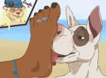 anklet anthro beach blush bull_terrier caleb_(nyapolitan) canid canine canis cutaway digit_ring digital_media_(artwork) domestic_dog duo feet foot_fetish foot_focus foot_lick foot_on_face foot_play hi_res hunting_dog jewelry licking male male/male mammal mustelid otter pixel_(artwork) ring sand submissive submissive_male terrier toe_ring toes tongue u4e