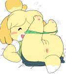 animal_crossing anthro anus around_leg blush blush_lines bodily_fluids bottomwear canid canine canis clothed clothing domestic_dog eyes_closed female forbiddenchees8 genitals happy hi_res isabelle_(animal_crossing) legs_up lying mammal motion_lines nintendo on_back panties partially_clothed pawpads presenting presenting_anus presenting_pussy pussy shih_tzu skirt smile solo sweat sweatdrop tail toy_dog underwear underwear_down