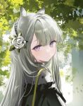  1girl animal_ears arknights black_dress dress flower grey_hair hair_flower hair_ornament hairband heavyrain_(arknights) heavyrain_(tranquil_moss)_(arknights) highres horse_ears horse_girl long_hair looking_at_viewer official_alternate_costume purple_eyes raramente striped_clothes striped_hairband 