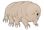 ambiguous_gender claws colored dreamscreep earless eyeless feral hi_res multi_limb octoped realistic_feral simple_background solo tan_body tardigrade toe_claws white_background wrinkles