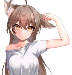  1girl absurdres alternate_costume animal_ears brown_eyes brown_hair crossed_bangs double-parted_bangs hair_between_eyes hand_on_own_ear highres hololive hololive_english multicolored_hair nanashi_mumei open_mouth panpanmc4 shirt single_off_shoulder streaked_hair t-shirt upper_body virtual_youtuber white_shirt wolf_ears 