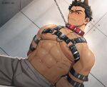  1boy abs animal_collar animal_ears bara blush brown_eyes brown_hair chain chain_leash chest_harness collar fangs frown grey_pants harness highres large_pectorals leash male_focus original pants pectorals rio_mukiniki scar scar_on_cheek scar_on_face shiny_skin short_hair sweat sweatpants 