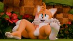 3d_(artwork) 5_toes anthro balls bodily_fluids canid canine cum cumshot digital_media_(artwork) ejaculation feet fox genital_fluids genitals hi_res humanoid_feet looking_pleasured male mammal masturbation miles_prower outside penile penile_masturbation penis plantigrade sega sitting solo sonic_the_hedgehog_(series) toes twintails3d