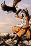 bald_eagle beak bird breasts brown brown_feathers brown_hair canine devilshaven eagle falconry female fox fur furries_with_pets green_eyes hair mammal naturally_censored nude orange orange_fur rocks sitting solo watermark wings 
