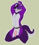  balls bdsm biceps big_muscles big_penis blue_eyes bondage bound canine flexing folf fox fur hair handsome hybrid kneeling looking_at_viewer male mammal muscles mutant_serpentina nude pecs penis pose purple purple_body purple_fur purple_hair rope shyloc smile solo tail wolf 