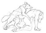  anthro_on_feral bestiality black_and_white blackteagan blotch canine erection feral gay interspecies knot male mammal monochrome penis sketch wolf 