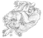  69 animal_genitalia bear blotch chubby feral gay greyscale happy happy_sex male mammal monochrome oral oral_sex sex teabag 