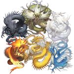  3_toes 4_fingers 4_toes beard black_dragon blue_dragon chinese_dragon claws dragon facial_hair fire flying fore green_dragon ham-on magic mane red_dragon scales scalie sharp_teeth teeth western_dragon whiskers white_dragon wings yellow_dragon 