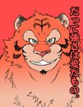  chibineco feline grey_eyes japanese_text kemono mammal sketch stripes teeth text tiger translation_request 