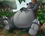  baloo belly big chubby disney hindpaw jungle_book lazy male nude overweight paws solo teaselbone 