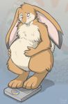  blush chubby embarrassed flapper keihound lagomorph long_ears male mammal nude overweight rabbit solo weigh weighing_scale 