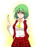  ascot breasts flower green_hair kazami_yuuka large_breasts plaid plaid_skirt plaid_vest red_eyes ribbon shirt short_hair skirt skirt_set smile solo surume_(clavis) touhou vest 