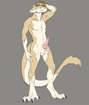  claws erection hair looking_at_viewer male navel penis pin purplepardus sergal short_hair simple_background solo standing up 
