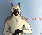  byelorussian_ovcharka clothed clothing dog domination english_text german_shepherd half-dressed ivashin licking looking_at_viewer male mammal master muscles ovcharka plain_background slylemur solo text tongue topless 