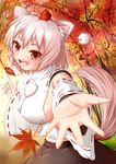  animal_ears autumn_leaves breasts detached_sleeves hat inubashiri_momiji koza47322 medium_breasts outstretched_hand red_eyes sideboob solo tail tokin_hat touhou white_hair wolf_ears wolf_tail 