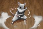  bandages daniel_macgregor fighting_stance fur mouse no_humans original signature smoke_ring solo tail wooden_floor 