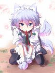  all_fours animal_ears black_legwear blue_eyes blush braid collar dog_ears dog_paws dog_tail highres inu_sakuya izayoi_sakuya kemonomimi_mode leash looking_at_viewer maid maid_headdress mouth_hold paws sen'yuu_yuuji short_hair silver_hair solo tail tail_wagging thighhighs touhou twin_braids wrist_cuffs 