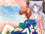  :d animal_ears blue_dress blue_eyes blue_hair brown_hair cat cat_ears cherry_blossoms dress long_hair multiple_girls open_mouth original shikigami_azuma short_hair sleeping sleeveless sleeveless_dress smile tree wallpaper 