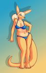  blue_eyes bra breasts chubby female frank_westerveldt kangaroo looking_at_viewer mammal marsupial overweight panties ritts shortwings sketch solo tail thick_tail underwear 