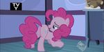  bend equine friendship horse invalid_tag is little magic my my_little_pony over pie pinkie pony presenting 